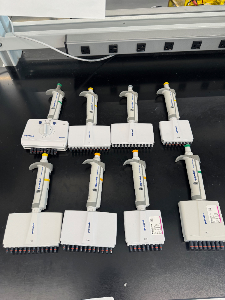 Image of Eppendorf Research Plus Multichannel Pipettes - Quantity 8